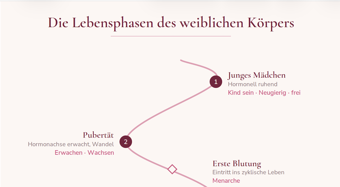 Die Lebensphasen des weiblichen Körpers